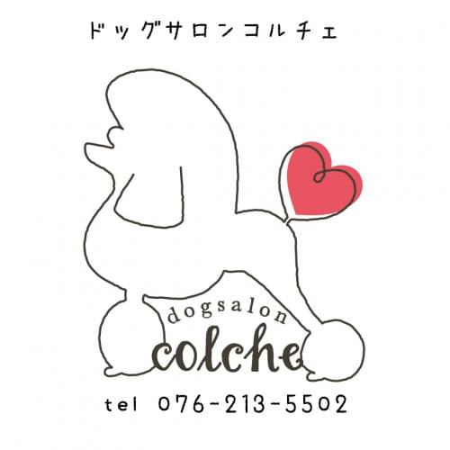 dogsalon Colche